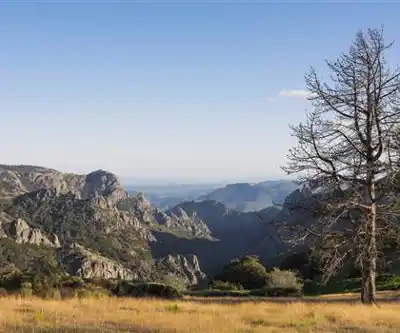 Parc naturel régional du Haut-Languedoc hiking trail - natural landscape