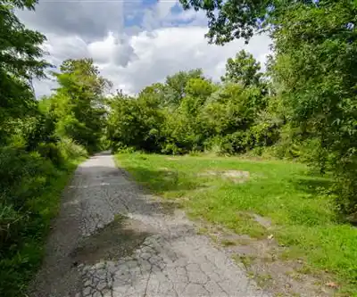 Taylor Creek Park hiking trail - natural landscape