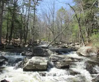 Twin Bridge Park hiking trail - natural landscape