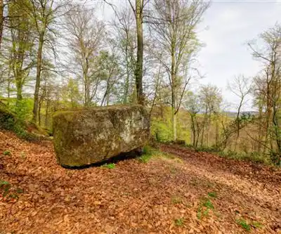 Tourne Park hiking trail - natural landscape