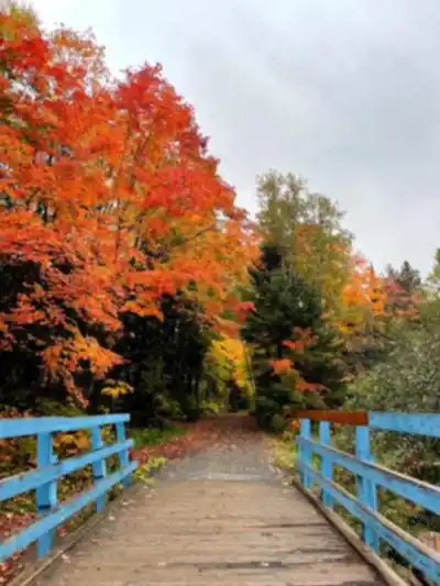 Discover Parc Du Corridor Aérobique in Laurentides