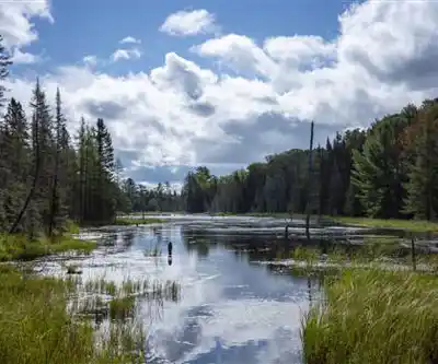 Mikisew Provincial Park hiking trail - natural landscape