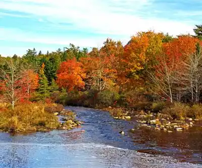 Sentier de randonnée Blue Mountain - Birch Cove Lakes Wilderness Area - paysage naturel