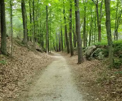 Westville Recreation Area hiking trail - natural landscape