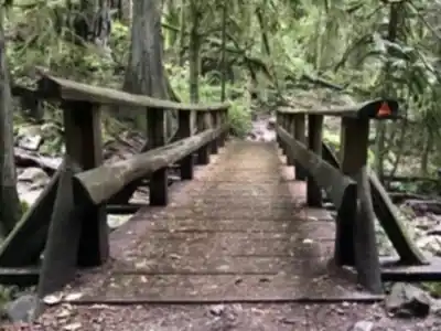 Whyte Lake Trailhead hiking trail - natural landscape