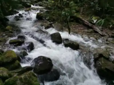 Discover Whyte Lake Trailhead in Vancouver Coast Mountains