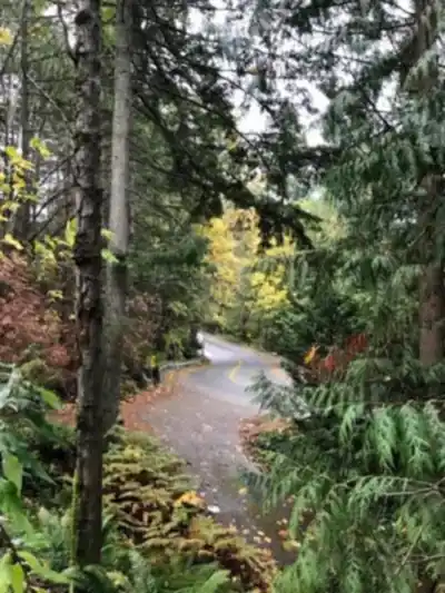 Whyte Lake Trailhead hike - nature and outdoors