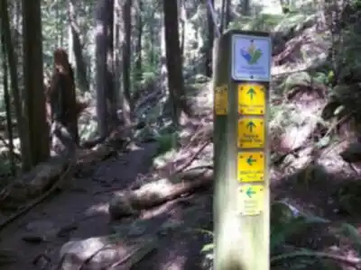 Explore Whyte Lake Trailhead trail