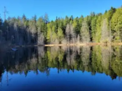 Hiking view of Whyte Lake Trailhead