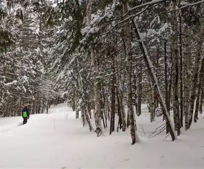 Hiking view of Ski Montcalm
