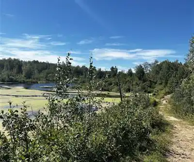 Explorer le sentier Miquelon Lake Provincial Park