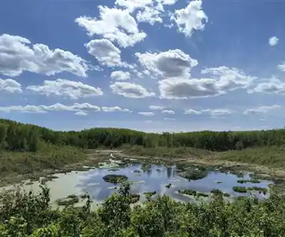 Sentier de randonnée Miquelon Lake Provincial Park - paysage naturel