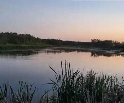 Vue en randonnée de Miquelon Lake Provincial Park