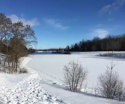 Parc De La Cité hike - nature and outdoors
