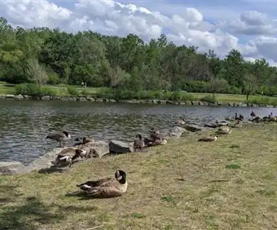 Discover Parc De La Cité in Montérégie