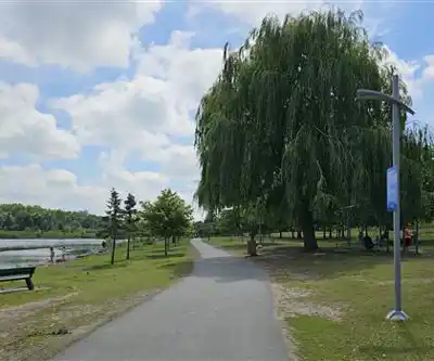 Parc De La Cité hiking trail - natural landscape