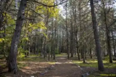 Explore Parc nature de Pointe-Aux-Outardes trail