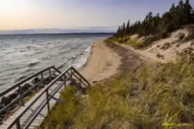 Parc nature de Pointe-Aux-Outardes hiking trail - natural landscape