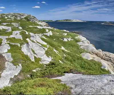 Vue en randonnée de Polly Cove Hiking Trail