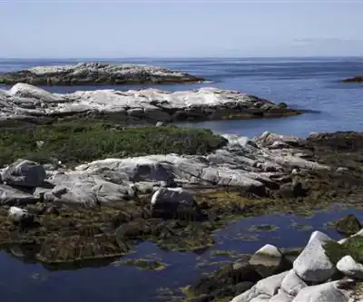Sentier de randonnée Polly Cove Hiking Trail - paysage naturel
