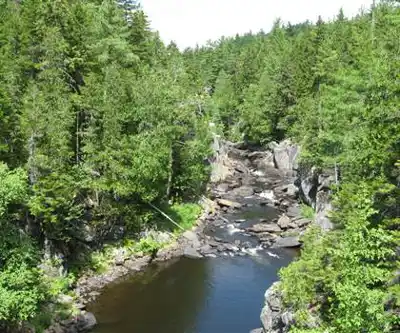 AMC Gorman Chairback Lodge and Cabins hiking trail - natural landscape
