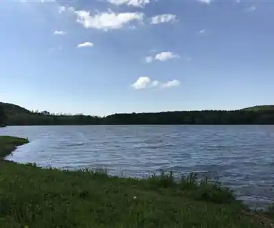 Fetterley Forest Conservation Area hiking trail - natural landscape