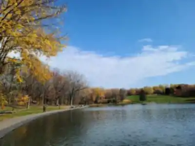 Sentier de randonnée Parc du Mont-Royal - paysage naturel