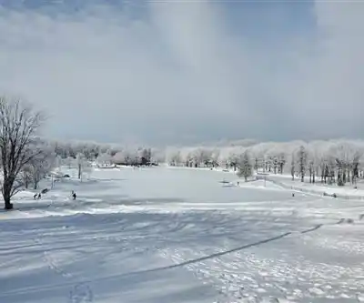 Paysage de Parc du Mont-Royal - randonnée pédestre