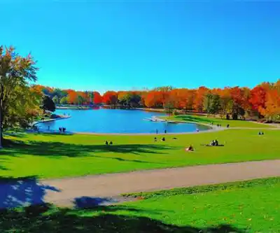Balade en nature à Parc du Mont-Royal