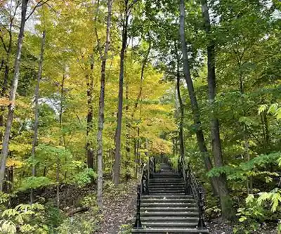 Sur les sentiers de Parc du Mont-Royal