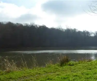 Sentier de randonnée Domaine De Blangy - paysage naturel