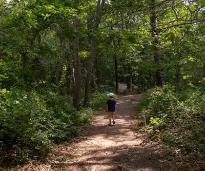 Ellisville Harbor State Park hiking trail - natural landscape