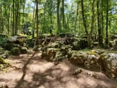 Sentier de randonnée Sentier Karstique du Grand Bois - paysage naturel