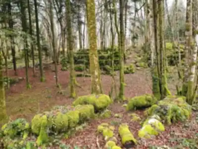 Vue en randonnée de Sentier Karstique du Grand Bois