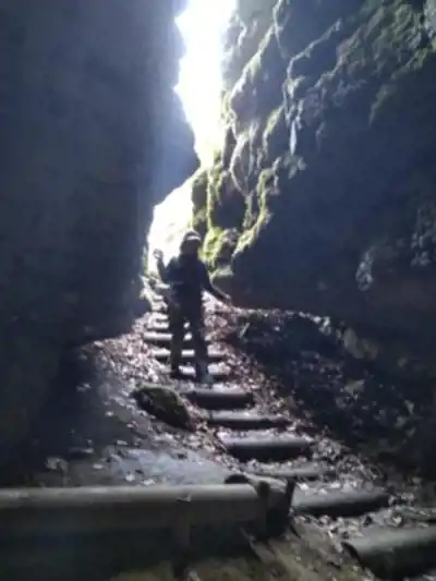 Randonnée Sentier Karstique du Grand Bois - nature et plein air