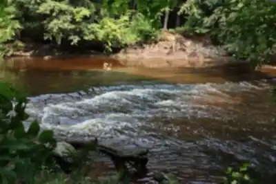 Parc régional de la rivière Gentilly hiking trail - natural landscape