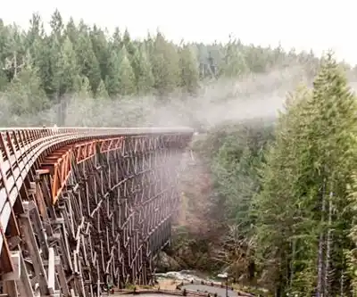 Shawnigan Lake hiking trail - natural landscape