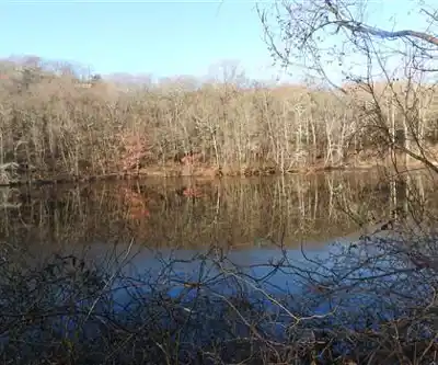Stillwell Woods Park hiking trail - natural landscape
