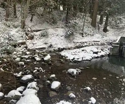 Byrne Creek Ravine Park hiking trail - natural landscape
