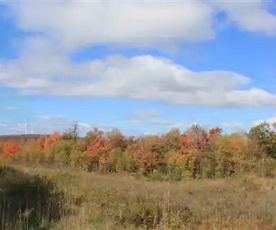 Forest Lake State Park hiking trail - natural landscape