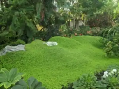 Hiking view of Muttart Conservatory
