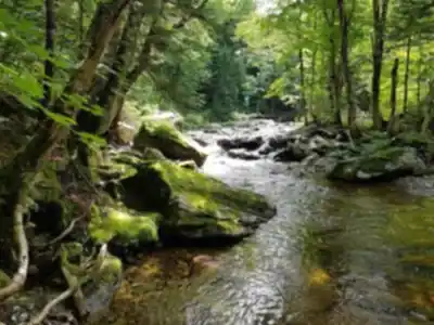 Parc régional du Massif du Sud hiking trail - natural landscape