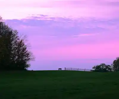 Knox Farm State Park hiking trail - natural landscape