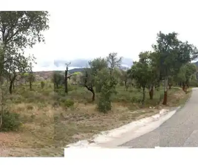 Sentier de randonnée Lac de l'Endre - paysage naturel