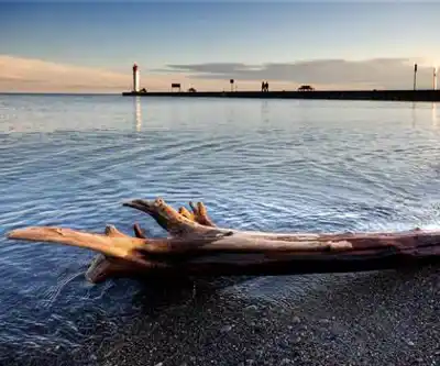 Kiwanis Heydenshore Park hiking trail - natural landscape