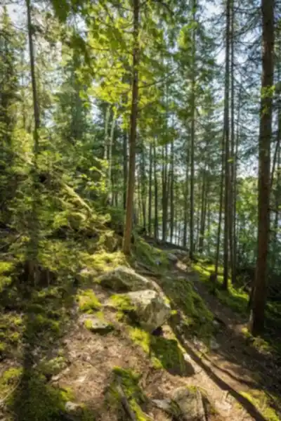 Récré-eau des quinze hike - nature and outdoors