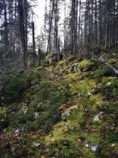 Explore Récré-eau des quinze trail