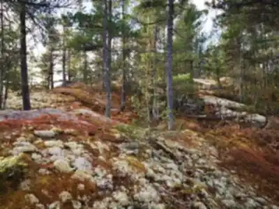 Récré-eau des quinze scenery - hiking