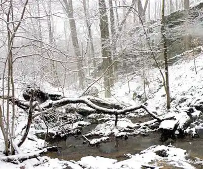 Hemlock Falls hiking trail - natural landscape