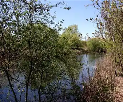 Sentier de randonnée Oakland Lake - paysage naturel